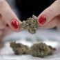 Puff, Puff, Passage: Cannabis Scores Two Major Vegas Victories This Week
