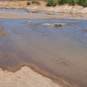 Massive Sewage Spill Near Nevada’s Lake Mead Blamed on Partially Closed Valve
