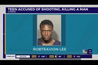Las Vegas Crime Round Up: Off-Strip Murder Leads to Teen’s Arrest