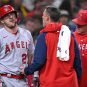 Mike Trout