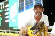 Australian Greyhound Trainer Charged in Cruelty Case Once ‘Sexually Stimulated’ Dog