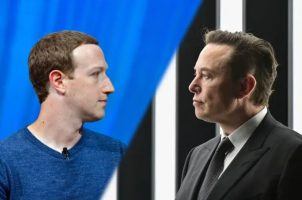 Elon Musk Mark Zuckerberg odds fight