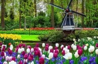Online Gaming Significant Factor in 2022 Dutch Gambling Tax Revenue of $1B