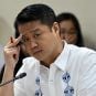 Senator Sherwin Gatchalian participating in a Senate hearing.