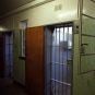 Las Vegas Couple Pleads Not Guilty to Child Abuse, Boys Found in Dog Cage