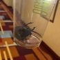 MGM Resorts International Faces $15K Lawsuit After Bat Found in Las Vegas Strip Hotel