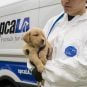 Casino Visitor Allegedly Leaves 15 Dogs in Hot Car While Gambling