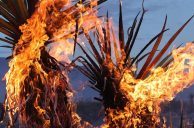 York Fire Now 63% Contained, Wildfire Involves Almost 97K Acres