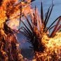 York Fire Now 63% Contained, Wildfire Involves Almost 97K Acres
