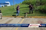 WaterView Casino in Mississippi Removes Unwanted Four-Legged Guest From Property