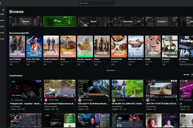 A screenshot of the Kick.com streaming platform