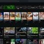 A screenshot of the Kick.com streaming platform