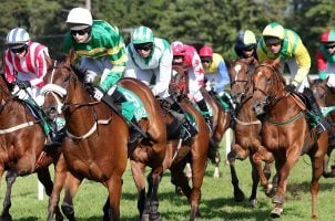 Jockeys participate in a horse race in Ireland