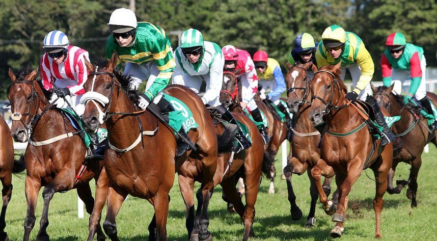 Jockeys participate in a horse race in Ireland