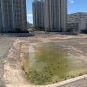 ALL NOT: Vegas’ All Net Arena Misses Another Deadline