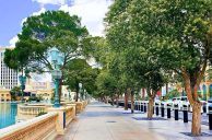 Bellagio Faces Flack for Felling Fountain Trees For F1