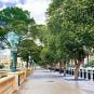 Bellagio Faces Flack for Felling Fountain Trees For F1