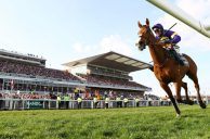 UK’s Grand National Limited to 34 Runners to Make Race Safer