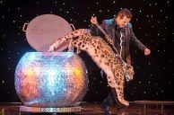 Dirk Arthur, Last of the Big-Cat Las Vegas Magicians, Dies at 63