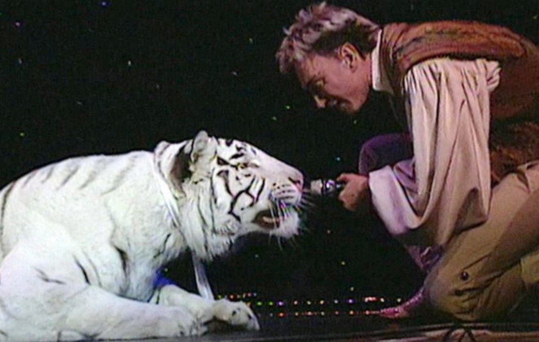 Vegas Myths Busted: The Tiger Attack Wasn’t Siegfried and Roy’s Fault