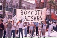 Las Vegas Culinary Union to Picket Caesars, MGM Casinos This Week