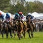 South Carolina horsemen pari-mutuel betting