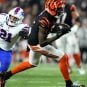 Bengals Tee Higgins injury