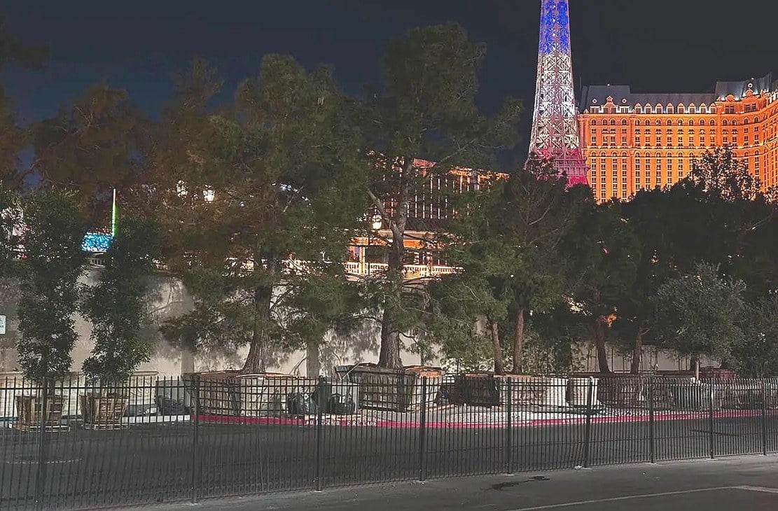 f1 casino 31