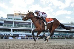 Gulfstream Park, Michael Fucheck, Florida, pollution