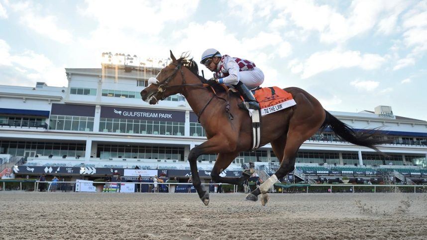 Gulfstream Park, Michael Fucheck, Florida, pollution 