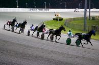 Yonkers Harness Racing Resumes After Serious Accident