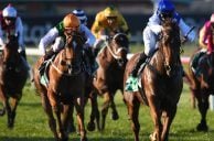 ‘Massively Intrusive’ Gambling Affordability Checks Not Welcome in Ireland