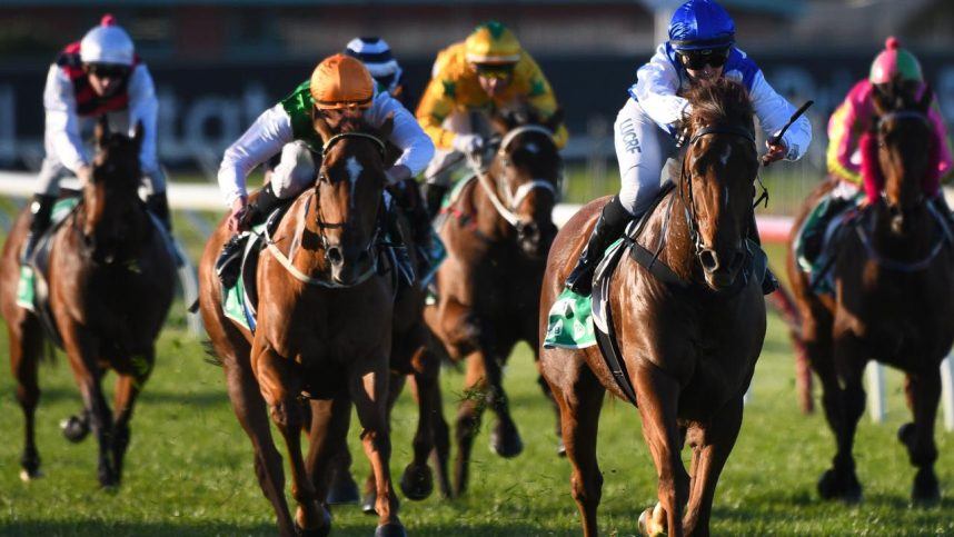 Horses and jockeys participating in a horse race