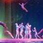 OSHA Fines Cirque for Injury at ‘O’ in Vegas