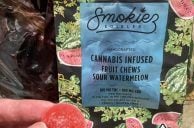 Mohegan Sun Bus Driver Who Ate Cannabis Gummies Avoids Prison