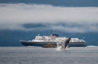 Alaska Marine Highway System Proposed for Onboard Slot Machines