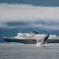 Alaska Marine Highway System slot machines