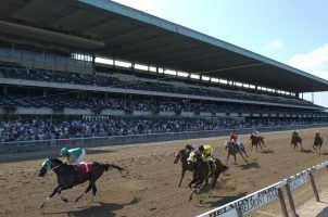New York Racing Association, NYRA, all-weather racetracks, synthetic surfaces