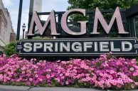 Casino Crime Roundup: Guilty Plea to Gambling Embezzled $230K