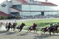 Louisiana Historical Horse Racing Illegal Unless Local Vote, Judge Says