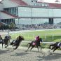Historical horse racing, HHR, Louisiana, Boyd Gaming, Delta Downs, Churchill Downs, Fair Grounds Race Course & Slots, Louisiana Downs, Evangeline Downs
