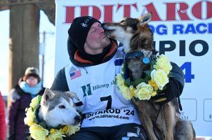 Iditarod, Iditarod betting, Dallas Deavey, Alaska, dog deaths