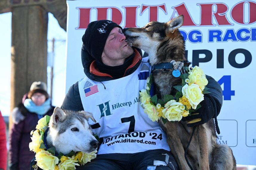 Iditarod, Iditarod betting, Dallas Deavey, Alaska, dog deaths