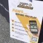 sports betting college students