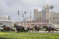 Macau Says ‘Whoa’ to Horse Racing, Holds Last Races