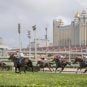 Macau Says ‘Whoa’ to Horse Racing, Holds Last Races
