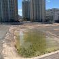 New Casino Resort and Arena Proposed for Site of Vegas Strip’s Failed All Net Project
