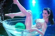 Did Burlesque Just Replace the Las Vegas Showgirl Show?