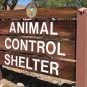 Las Vegas Hotel Room Search Reveals 30 Dogs, 10 Dead