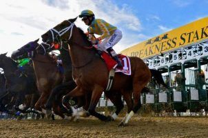 Preakness Stakes, Pimlico Race Course, Maryland, Stronach Group